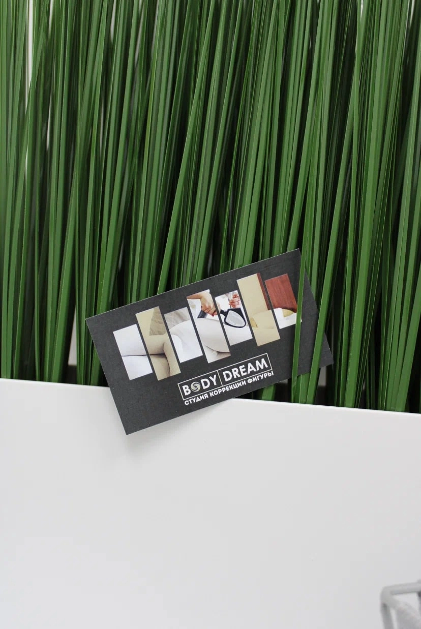 Студия коррекции фигуры "Body Dream".