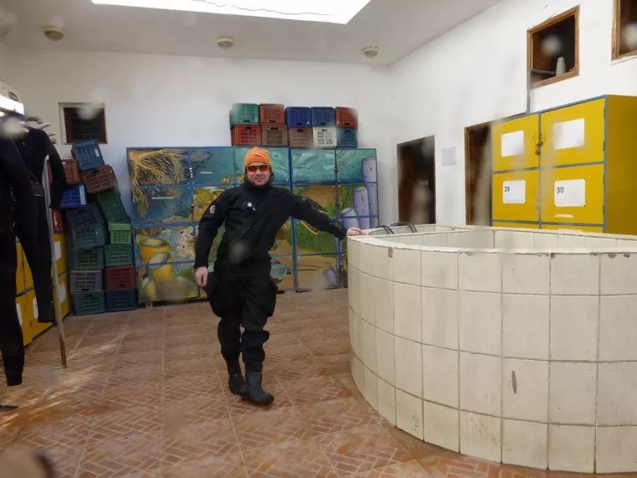 Дайвинг-клуб FROGS.BY в Минске: Бассейн, Дайвинг, Стрелковый клуб, Оплата картой, Оплата наличными, Обучение, Пробное погружение, Аренда снаряжения,