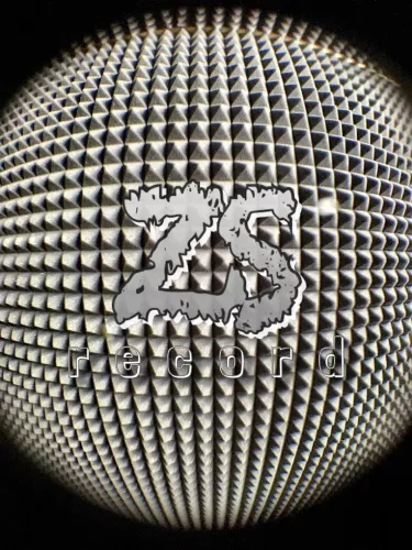 Студия звукозаписи ZS Record  в  Ульяновске