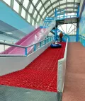Миниатюра 8