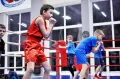 Миниатюра 10