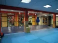 Миниатюра 10