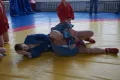 Миниатюра 7