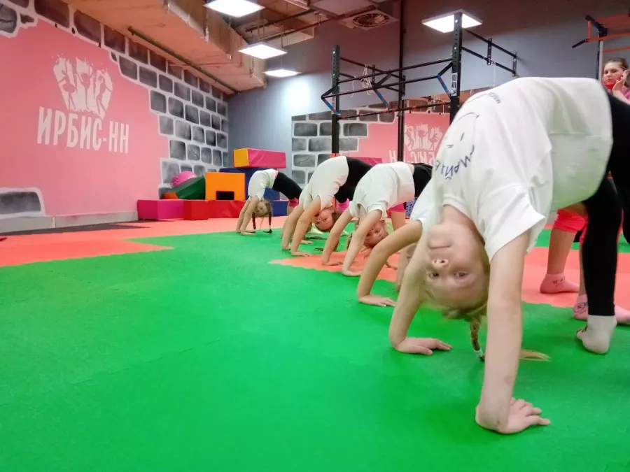 Академия Спорта Ирбис-НН в Нижнем Новгороде: Хореография, Акробатика, Студия,