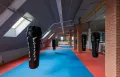 Миниатюра 7