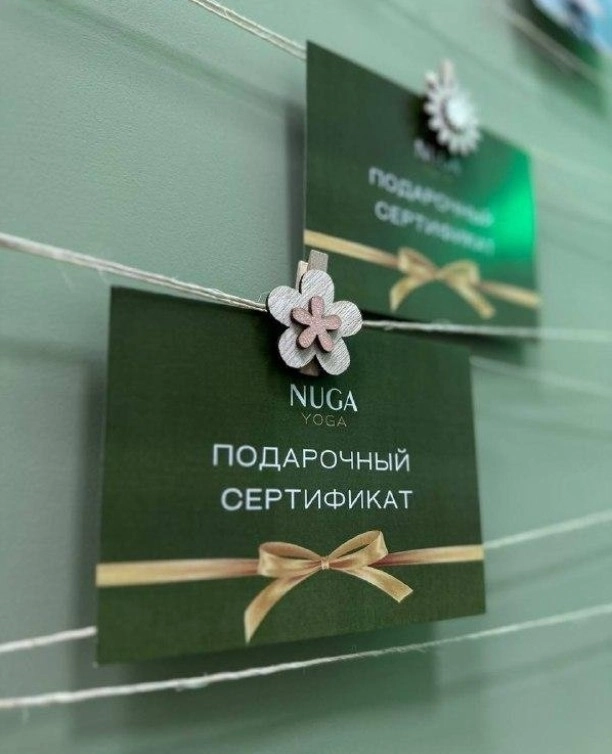 Студия йоги Нуга йога в Казани: Аэройога, Стретчинг, Пилатес,