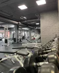 Миниатюра 2
