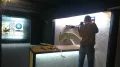 Миниатюра 10