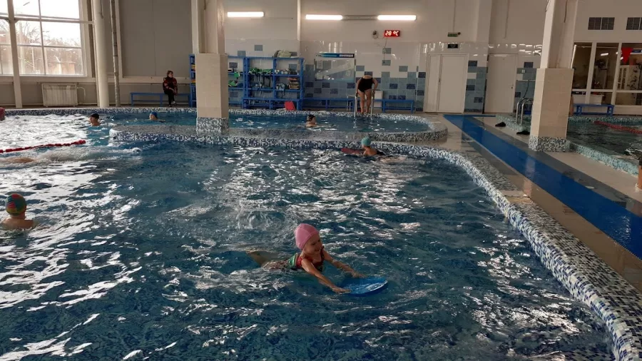 Дворец спорта Северная Звезда в Нижнем Новгороде: Спортивные Секции, Каток, Детский Тренер, Спорткомплекс, Ледовая Арена, Бассейн, Тренажёрный Зал, Гимнастика, Зал Борьбы, Зона Отдыха,