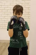 Миниатюра 8