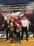 Миниатюра 1
