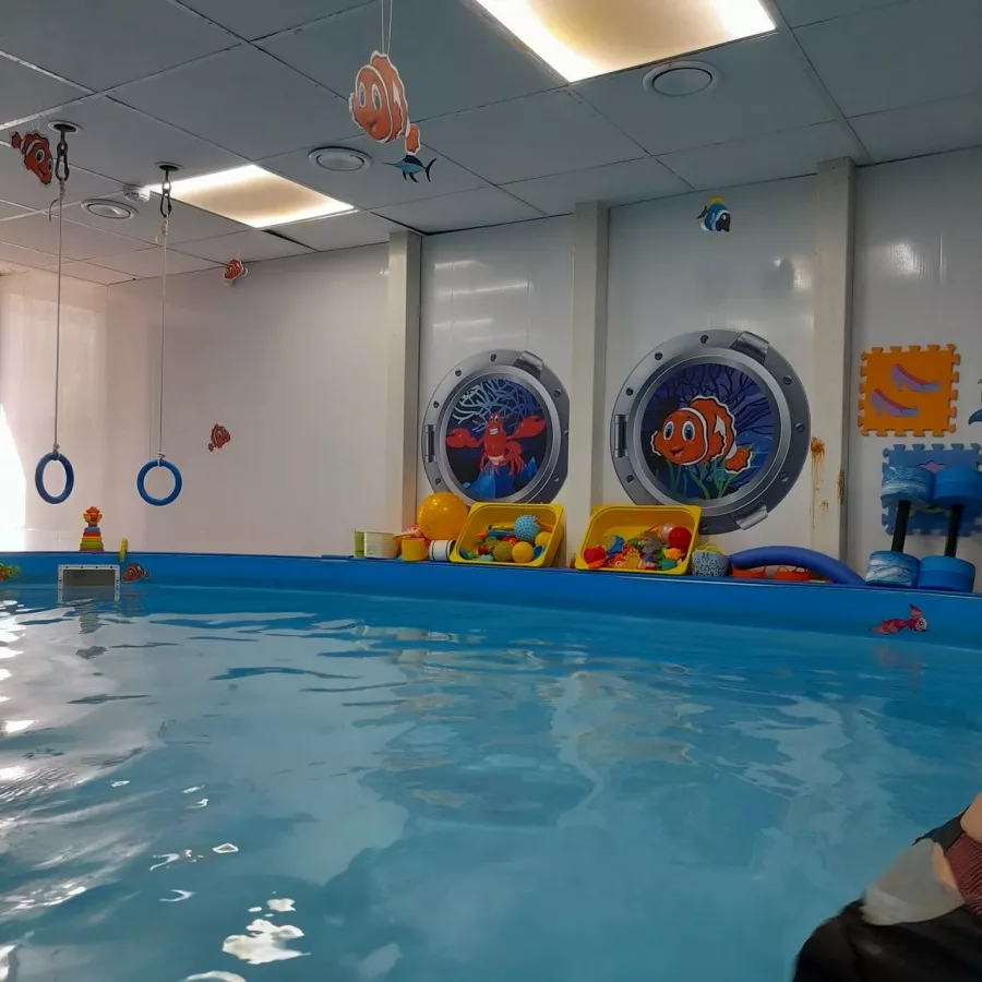 Детский Бассейн FLIPPER в Новосибирске: Детский бассейн, Бассейн, Зал, Плавание,