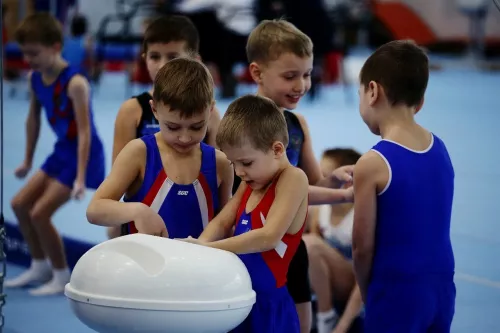 Центр гимнастики Евгения Подгорного  в  Новосибирске