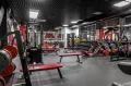Миниатюра 7