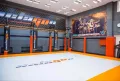 Миниатюра 11