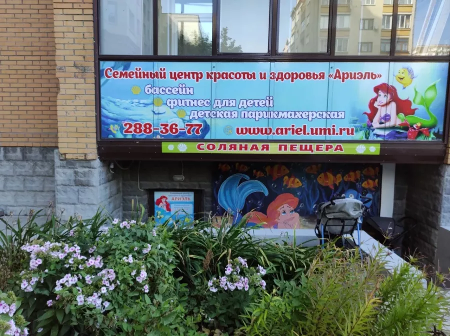 Семейный центр красоты и здоровья Ариэль в Новосибирске: Тренировка, Зал, Бассейн, Плавание,