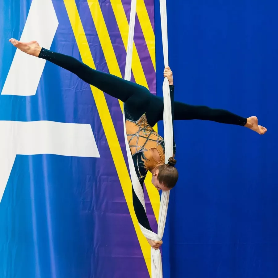 Студия воздушной гимнастики и танца  Polёt в Новосибирске: Зал, Тренировка, Гимнастика, Танцы,