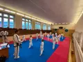 Миниатюра 7
