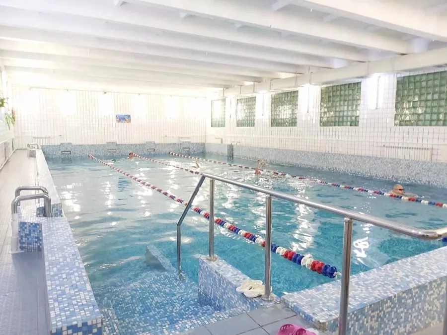 Школа спортивного и оздоровительного плавания Aqua Delfin в Новосибирске: Бассейн, Тренировка, Плавание,