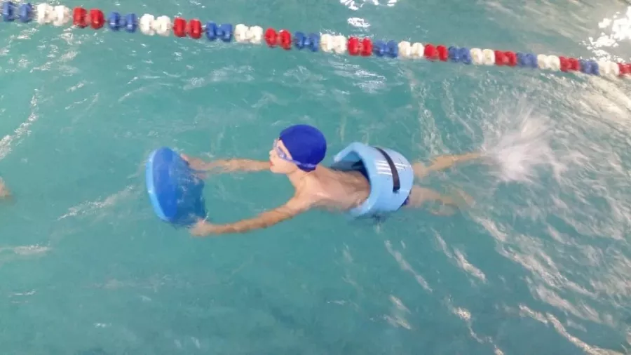 Школа спортивного и оздоровительного плавания Aqua Delfin в Новосибирске: Бассейн, Тренировка, Плавание,