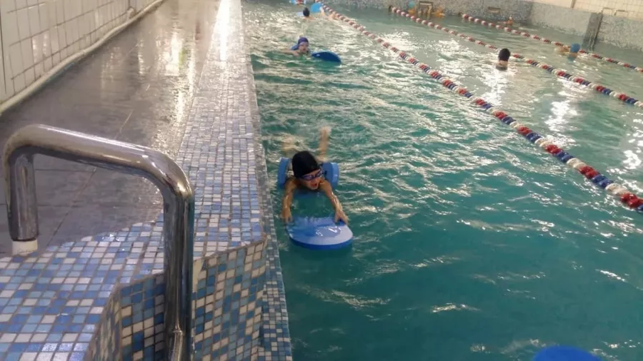 Школа спортивного и оздоровительного плавания Aqua Delfin в Новосибирске: Бассейн, Тренировка, Плавание,