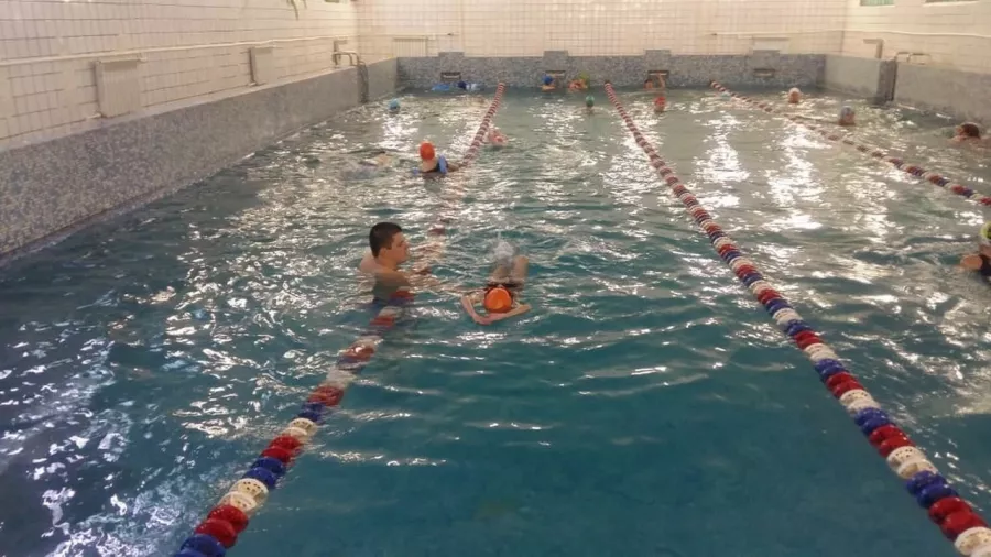 Школа спортивного и оздоровительного плавания Aqua Delfin в Новосибирске: Бассейн, Тренировка, Плавание,