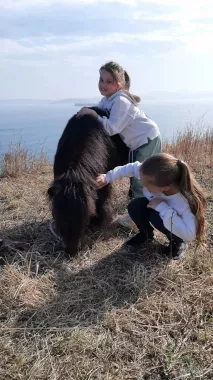 Конно-спортивный клуб "Fast Horse".