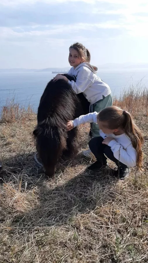 Конно-спортивный клуб Fast Horse в Владивостоке: Кони, Тренировка, Тренер,