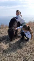 Миниатюра 3