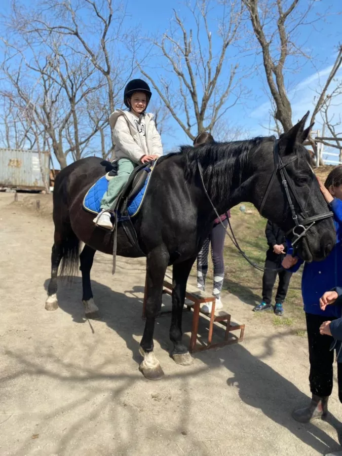 Конно-спортивный клуб Fast Horse в Владивостоке: Кони, Тренировка, Тренер,