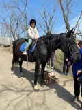 Миниатюра 5