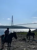 Миниатюра 6