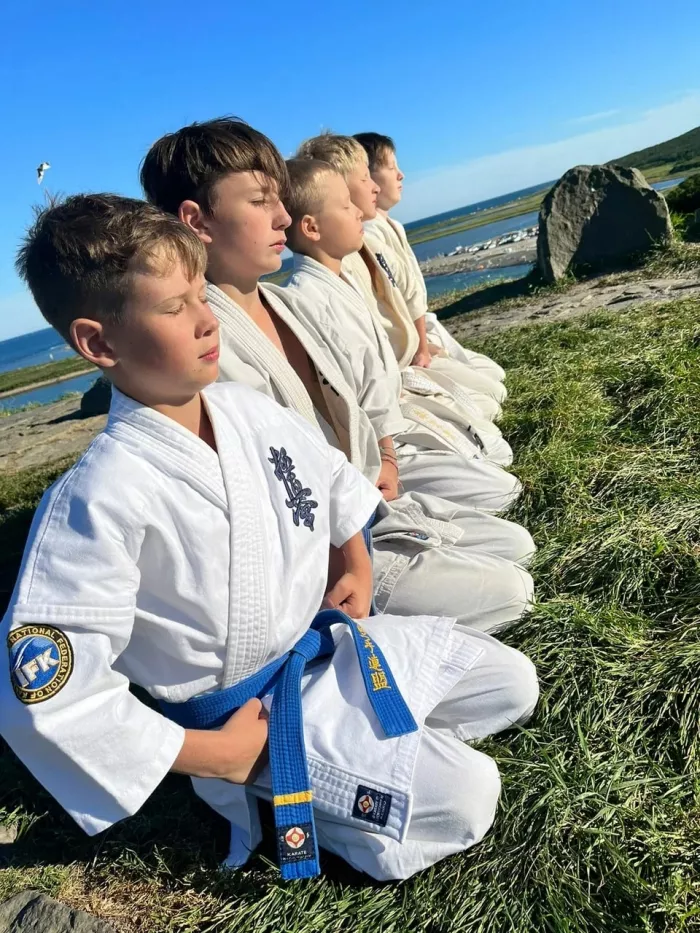 Спортивный клуб "Цви Ханши".