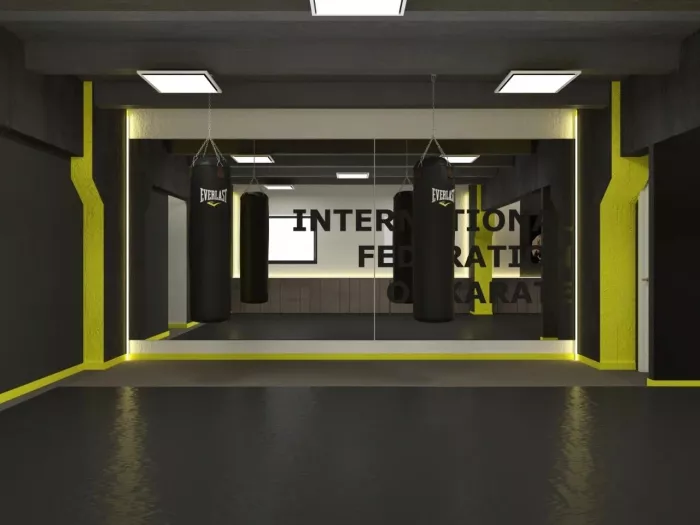 Спортивный клуб "Цви Ханши".