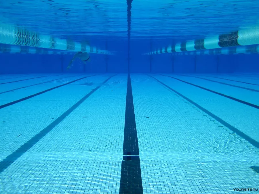 Школа легкого плавания I Love Swimming в Владивостоке: Бассейн, Тренировка, Плавание,