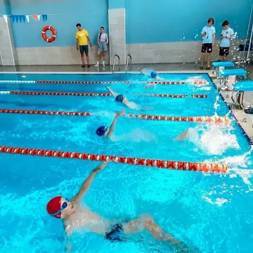 Клуб плавания Остров чемпионов  во  Владивостоке