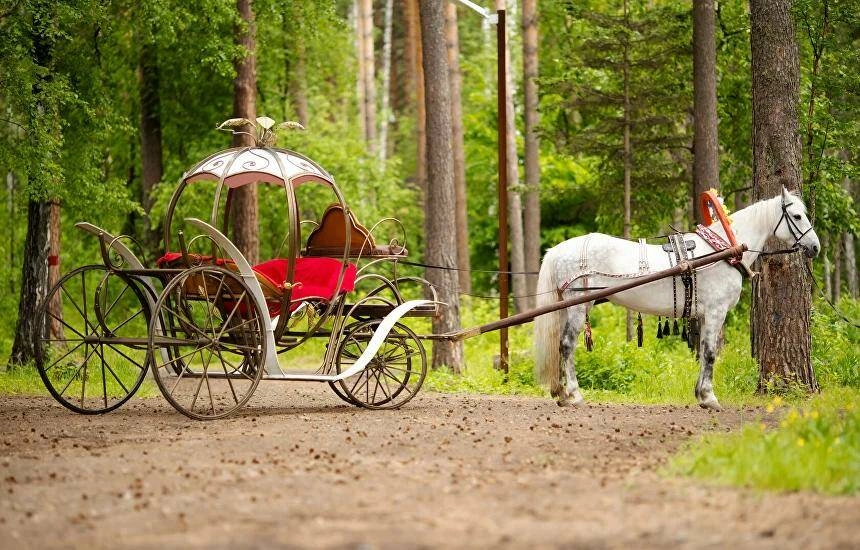 Зоопарк Серебряная подкова в Новосибирске: Зоопарк, Животные,
