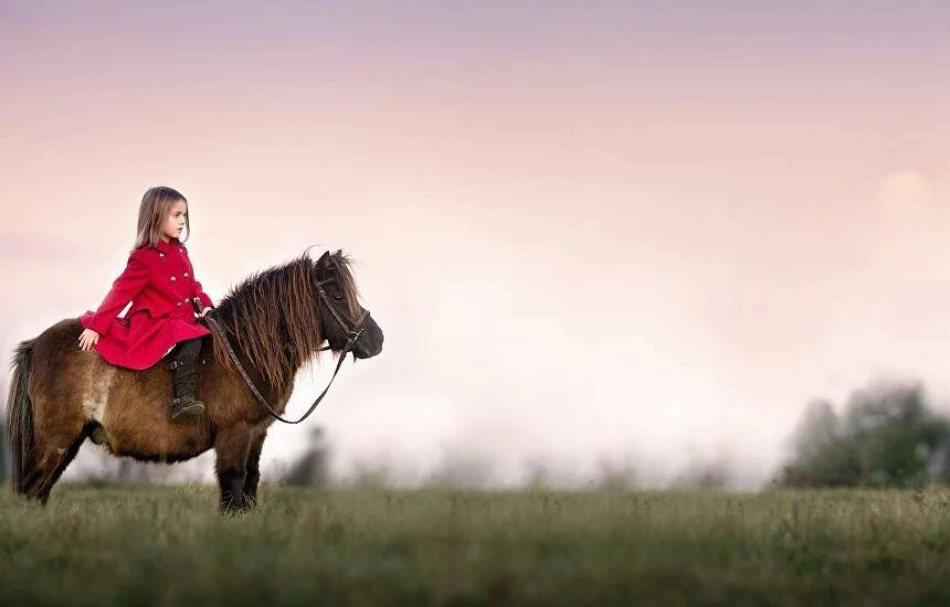Зоопарк Серебряная подкова в Новосибирске: Зоопарк, Животные,