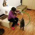 Миниатюра 4