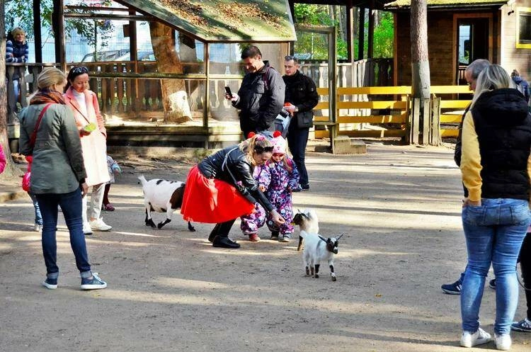 Зоопарк Радуга в Санкт-Петербурге: Зоопарк, Любимцы, Контактный зоопарк,