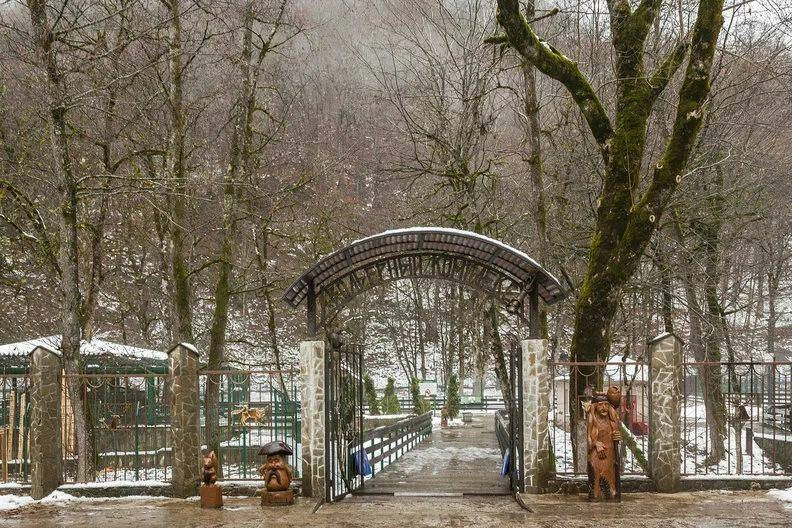 Кавказский государственный природный биосферный заповедник в Красной Поляне: Зоопарк, Животные,