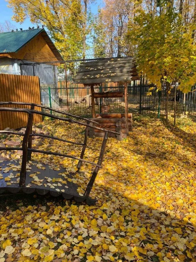 Зоопарк Маленькая страна в Нижнем Новгороде: Зоопарк, Животные,