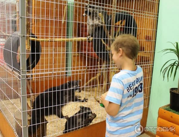 Трогательный зоопарк в Туле: Зоопарк, Любимцы, Контактный зоопарк, Экзотариум,