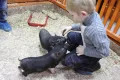 Миниатюра 4