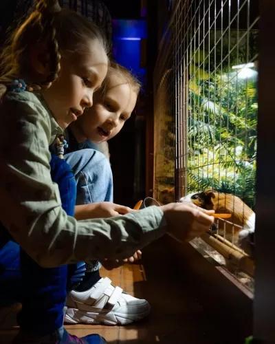 Зоопарк Наутилус  в  Ижевске