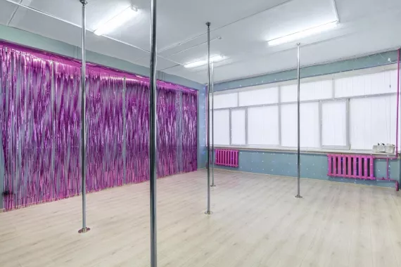 Студия "Skyline".