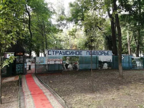 Зоопарк Страусиное подворье в Ростове-на-Дону