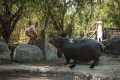 Миниатюра 6