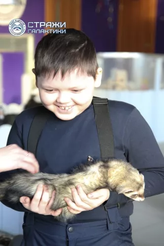 Зооклуб Стражи Галактики  в  Перми