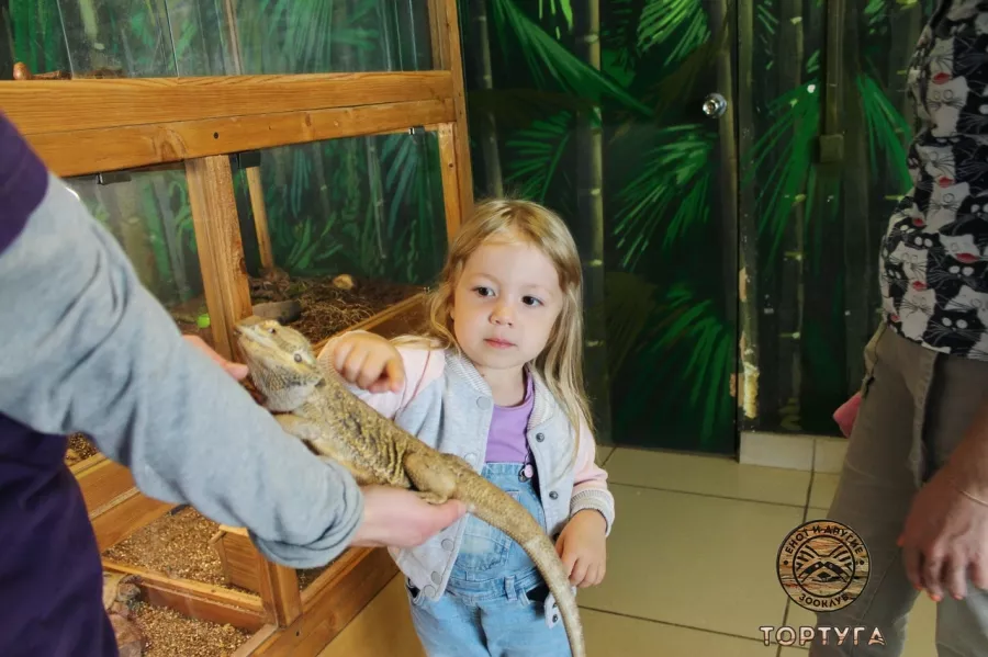 Зооклуб Тортуга в Перми: Зоопарк, Животные,